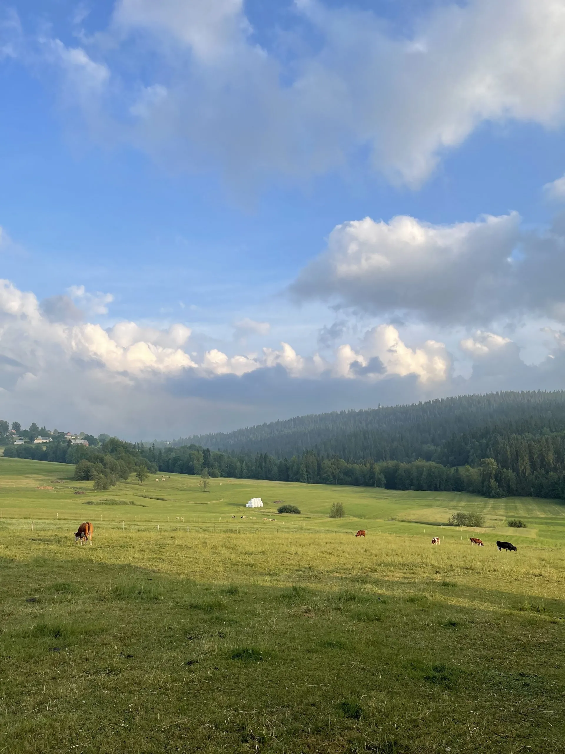 Software Development Experts From Poland CrustLab Team